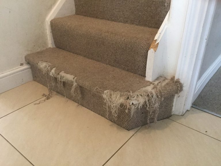 Carpet repairs in London Carpet Fitter London