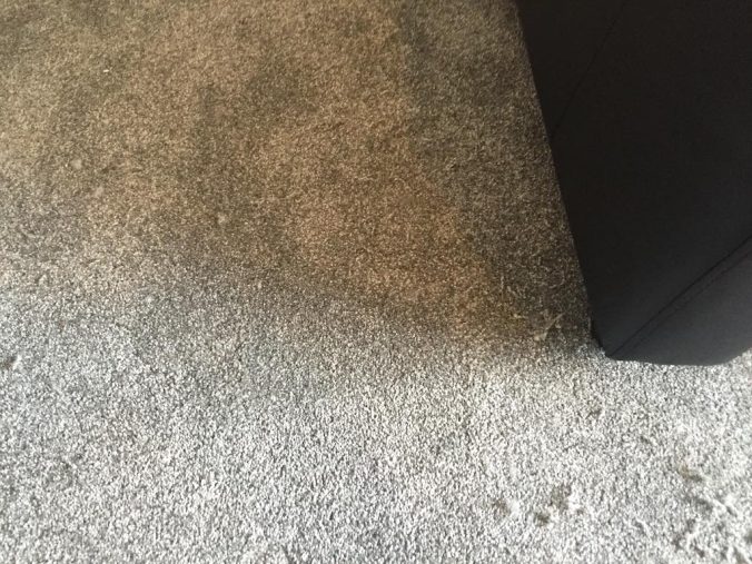 Before and after example of a ‘cut and plug’ repair to a carpet with steam iron damage.