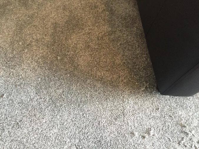 Carpet repairs in London Carpet Fitter London